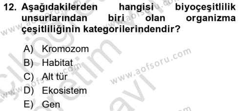 Çevre Sosyolojisi Dersi 2021 - 2022 Yılı Yaz Okulu Sınavı 12. Soru