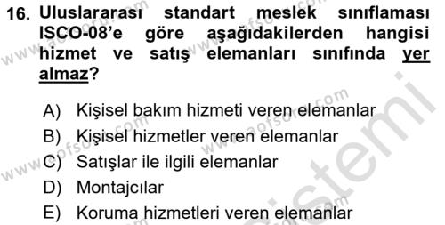 Çalışma Sosyolojisi Dersi 2018 - 2019 Yılı 3 Ders Sınavı 16. Soru