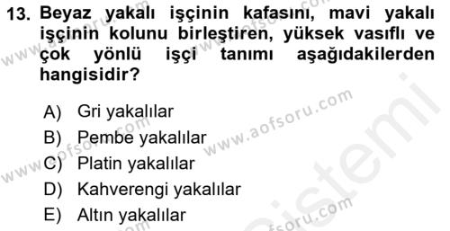 Çalışma Sosyolojisi Dersi 2018 - 2019 Yılı (Vize) Ara Sınavı 13. Soru