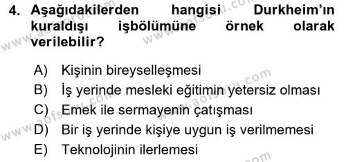 Çalışma Sosyolojisi Dersi 2018 - 2019 Yılı (Vize) Ara Sınavı 4. Soru