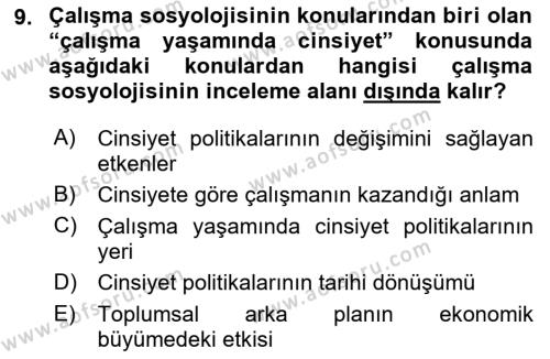 Çalışma Sosyolojisi Dersi 2018 - 2019 Yılı (Vize) Ara Sınavı 9. Soru