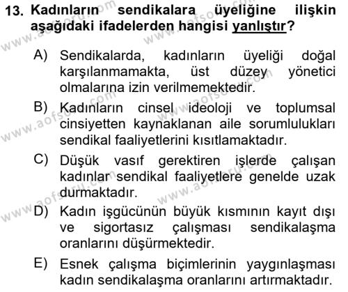 Çalışma Sosyolojisi Dersi 2020 - 2021 Yılı Yaz Okulu Sınavı 13. Soru