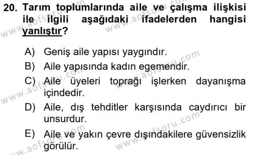 Çalışma Sosyolojisi Dersi 2020 - 2021 Yılı Yaz Okulu Sınavı 20. Soru