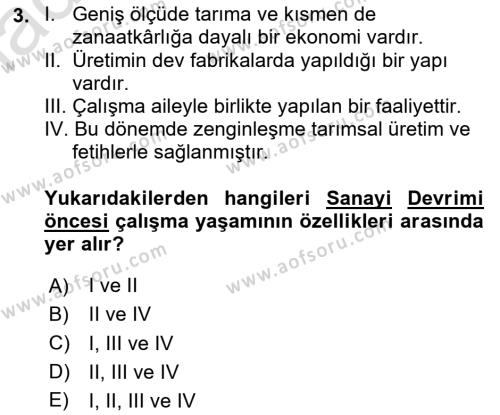 Çalışma Sosyolojisi Dersi 2020 - 2021 Yılı Yaz Okulu Sınavı 3. Soru