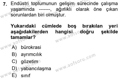 Çalışma Sosyolojisi Dersi 2020 - 2021 Yılı Yaz Okulu Sınavı 7. Soru