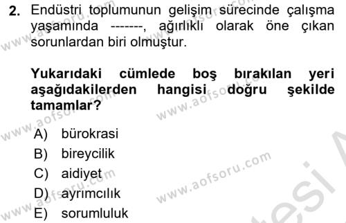 Çalışma Sosyolojisi Dersi 2021 - 2022 Yılı (Vize) Ara Sınavı 2. Soru