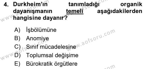 Çalışma Sosyolojisi Dersi 2021 - 2022 Yılı (Vize) Ara Sınavı 4. Soru