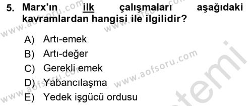 Çalışma Sosyolojisi Dersi 2021 - 2022 Yılı (Vize) Ara Sınavı 5. Soru