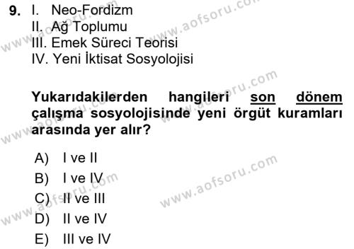 Çalışma Sosyolojisi Dersi 2021 - 2022 Yılı (Vize) Ara Sınavı 9. Soru