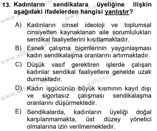 Çalışma Sosyolojisi Dersi 2021 - 2022 Yılı (Final) Dönem Sonu Sınavı 13. Soru