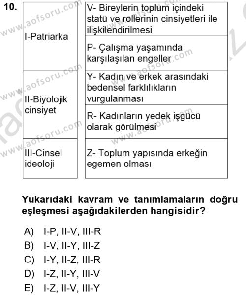 Çalışma Sosyolojisi Dersi 2021 - 2022 Yılı Yaz Okulu Sınavı 10. Soru