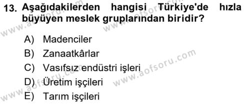 Çalışma Sosyolojisi Dersi 2021 - 2022 Yılı Yaz Okulu Sınavı 13. Soru