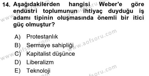 Çalışma Sosyolojisi Dersi 2021 - 2022 Yılı Yaz Okulu Sınavı 14. Soru