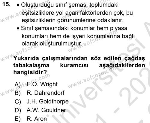 Çalışma Sosyolojisi Dersi 2021 - 2022 Yılı Yaz Okulu Sınavı 15. Soru