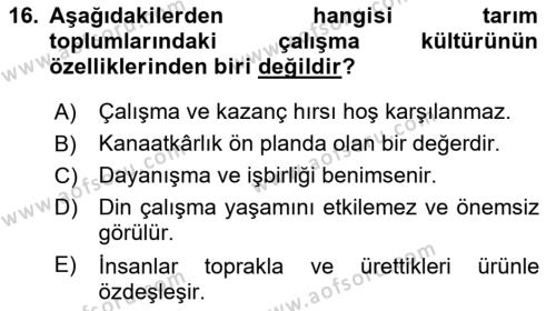 Çalışma Sosyolojisi Dersi 2021 - 2022 Yılı Yaz Okulu Sınavı 16. Soru