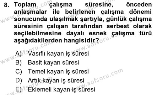 Çalışma Sosyolojisi Dersi 2021 - 2022 Yılı Yaz Okulu Sınavı 8. Soru