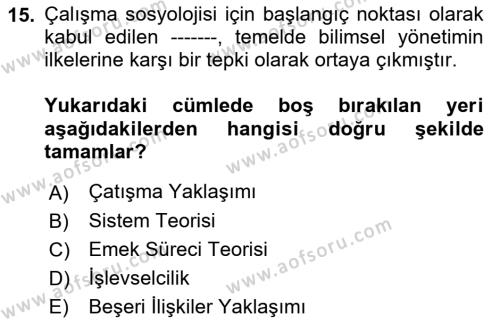 Çalışma Sosyolojisi Dersi 2022 - 2023 Yılı (Vize) Ara Sınavı 15. Soru