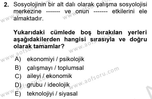 Çalışma Sosyolojisi Dersi 2022 - 2023 Yılı (Vize) Ara Sınavı 2. Soru