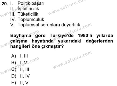 Çalışma Sosyolojisi Dersi 2022 - 2023 Yılı (Final) Dönem Sonu Sınavı 20. Soru