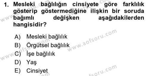 Çalışma Sosyolojisi Dersi 2022 - 2023 Yılı Yaz Okulu Sınavı 1. Soru