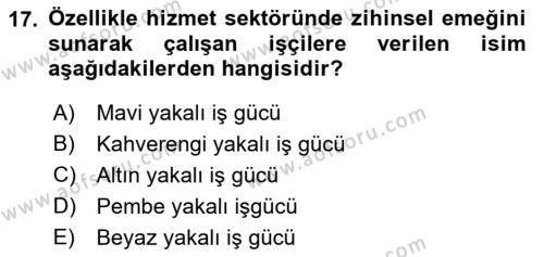 Çalışma Sosyolojisi Dersi 2022 - 2023 Yılı Yaz Okulu Sınavı 17. Soru