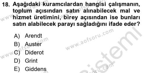 Çalışma Sosyolojisi Dersi 2022 - 2023 Yılı Yaz Okulu Sınavı 18. Soru