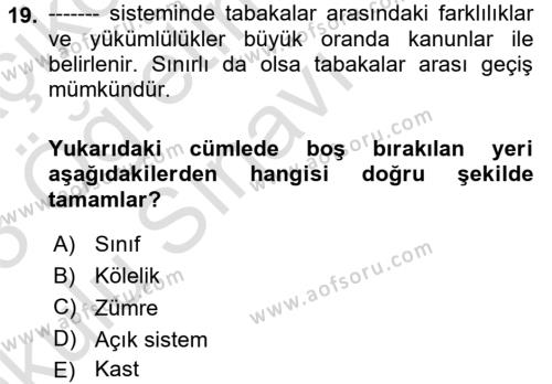 Çalışma Sosyolojisi Dersi 2022 - 2023 Yılı Yaz Okulu Sınavı 19. Soru