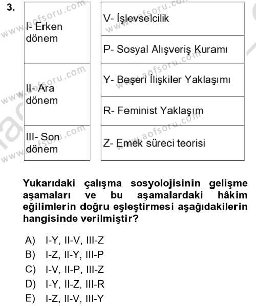 Çalışma Sosyolojisi Dersi 2022 - 2023 Yılı Yaz Okulu Sınavı 3. Soru