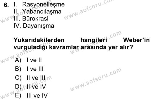 Çalışma Sosyolojisi Dersi 2022 - 2023 Yılı Yaz Okulu Sınavı 6. Soru