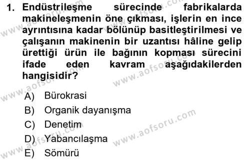 Çalışma Sosyolojisi Dersi 2023 - 2024 Yılı (Vize) Ara Sınavı 1. Soru