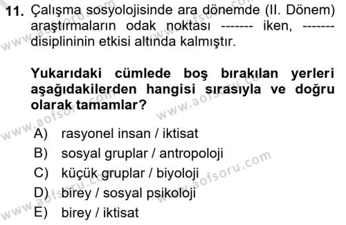 Çalışma Sosyolojisi Dersi 2023 - 2024 Yılı (Vize) Ara Sınavı 11. Soru