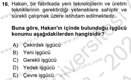 Çalışma Sosyolojisi Dersi 2023 - 2024 Yılı (Vize) Ara Sınavı 16. Soru