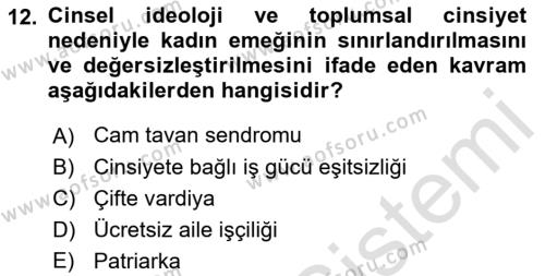 Çalışma Sosyolojisi Dersi 2023 - 2024 Yılı (Final) Dönem Sonu Sınavı 12. Soru