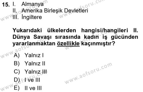 Çalışma Sosyolojisi Dersi 2023 - 2024 Yılı (Final) Dönem Sonu Sınavı 15. Soru