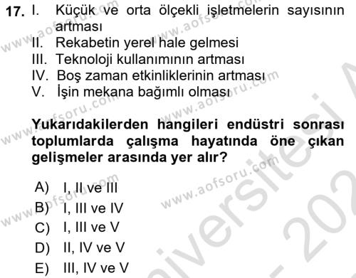 Çalışma Sosyolojisi Dersi 2023 - 2024 Yılı (Final) Dönem Sonu Sınavı 17. Soru