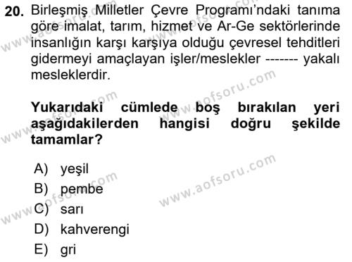 Çalışma Sosyolojisi Dersi 2023 - 2024 Yılı (Final) Dönem Sonu Sınavı 20. Soru