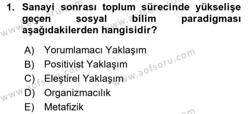 Çalışma Sosyolojisi Dersi 2024 - 2025 Yılı (Vize) Ara Sınavı 1. Soru