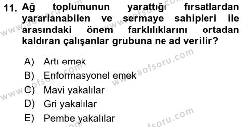 Çalışma Sosyolojisi Dersi 2024 - 2025 Yılı (Vize) Ara Sınavı 11. Soru