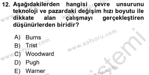 Çalışma Sosyolojisi Dersi 2024 - 2025 Yılı (Vize) Ara Sınavı 12. Soru