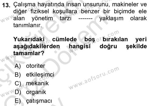 Çalışma Sosyolojisi Dersi 2024 - 2025 Yılı (Vize) Ara Sınavı 13. Soru