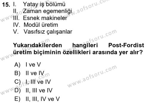 Çalışma Sosyolojisi Dersi 2024 - 2025 Yılı (Vize) Ara Sınavı 15. Soru