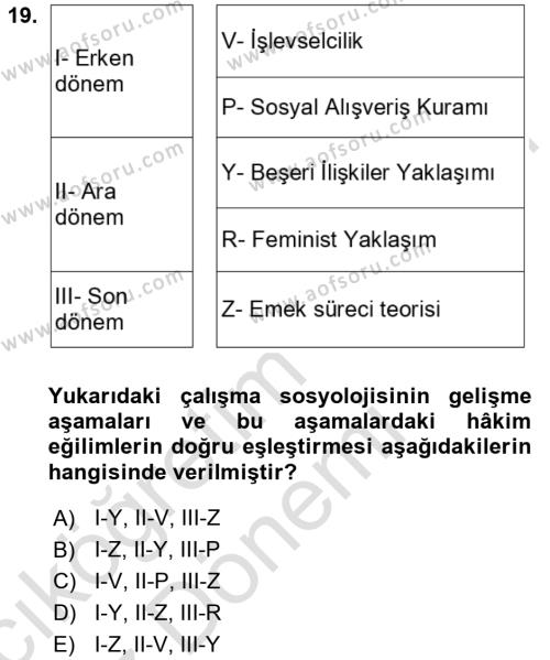 Çalışma Sosyolojisi Dersi 2024 - 2025 Yılı (Vize) Ara Sınavı 19. Soru