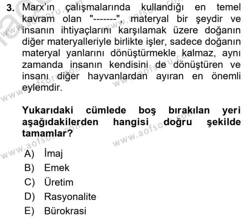 Çalışma Sosyolojisi Dersi 2024 - 2025 Yılı (Vize) Ara Sınavı 3. Soru