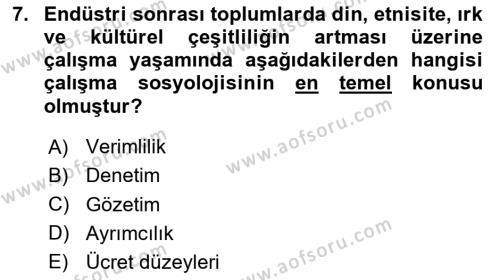 Çalışma Sosyolojisi Dersi 2024 - 2025 Yılı (Vize) Ara Sınavı 7. Soru