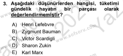 Tüketim Sosyolojisi Dersi 2020 - 2021 Yılı Yaz Okulu Sınavı 3. Soru