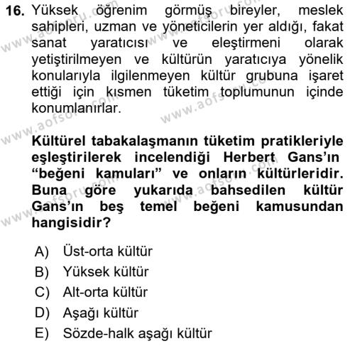 Tüketim Sosyolojisi Dersi 2021 - 2022 Yılı (Vize) Ara Sınavı 16. Soru