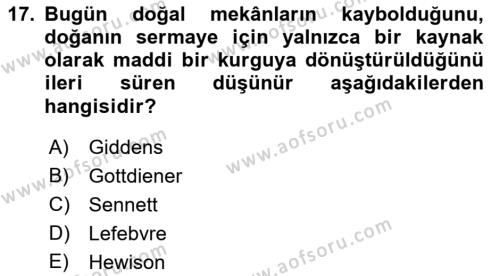 Tüketim Sosyolojisi Dersi 2022 - 2023 Yılı Yaz Okulu Sınavı 17. Soru