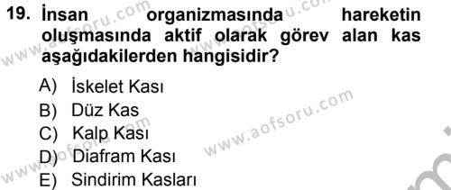 Spor Bilimlerine Giriş Dersi 2012 - 2013 Yılı (Vize) Ara Sınavı 19. Soru