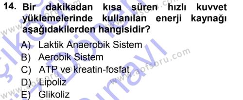 Spor Bilimlerine Giriş Dersi 2012 - 2013 Yılı (Final) Dönem Sonu Sınavı 14. Soru
