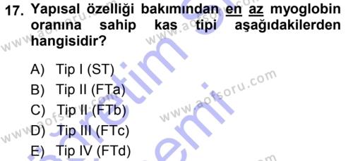Spor Bilimlerine Giriş Dersi 2013 - 2014 Yılı (Vize) Ara Sınavı 17. Soru